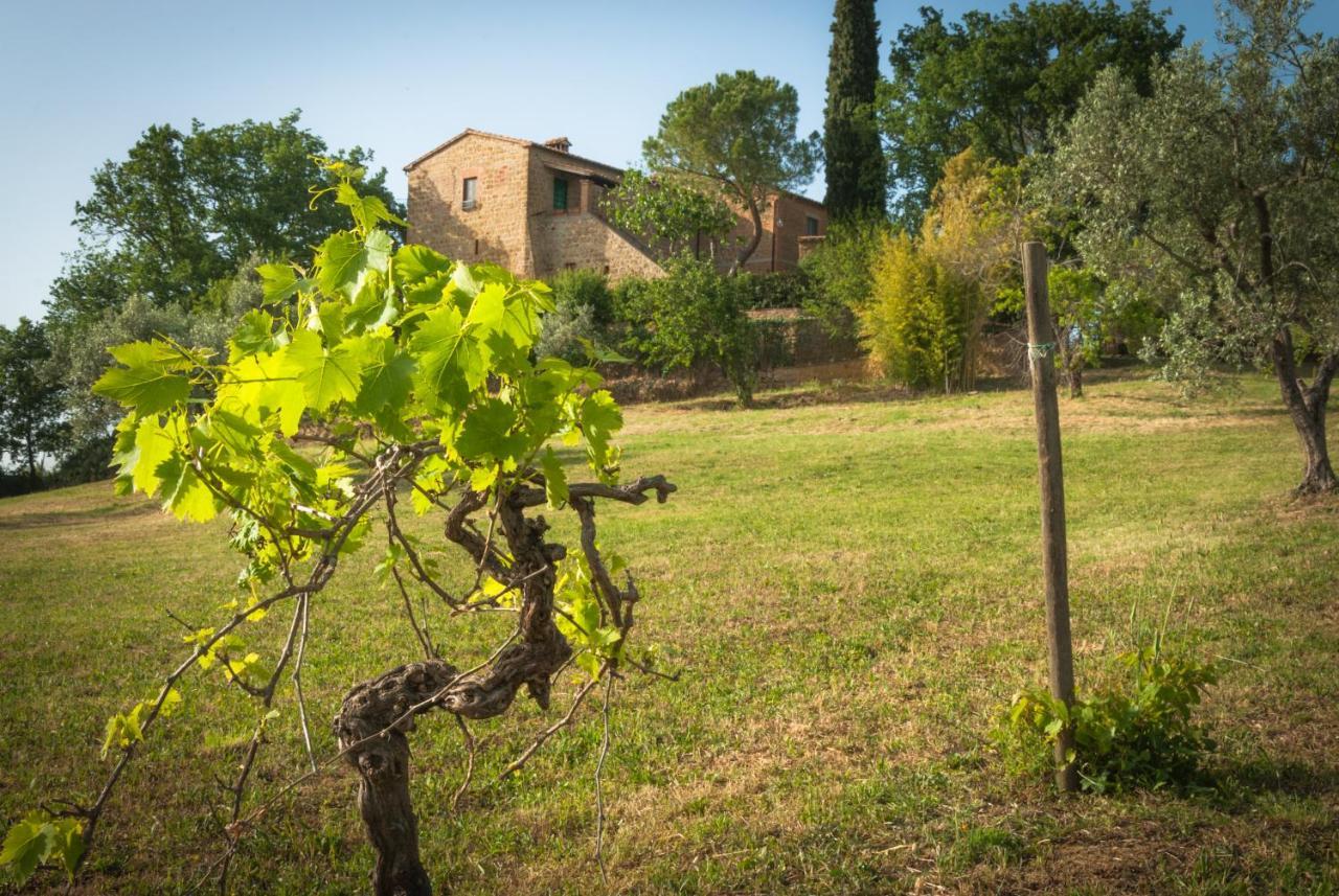 Holiday Home Arpicella Pienza Exterior foto